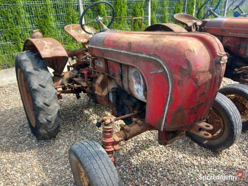 Porsche Buk