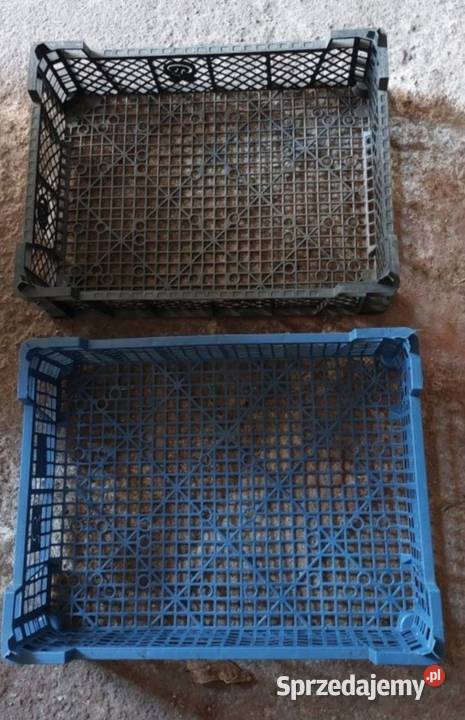 Skrzynki plastikowe Casi 40X30X12 750 Czempiń