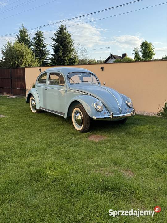 VW Garbus Oval 1954 Olesno