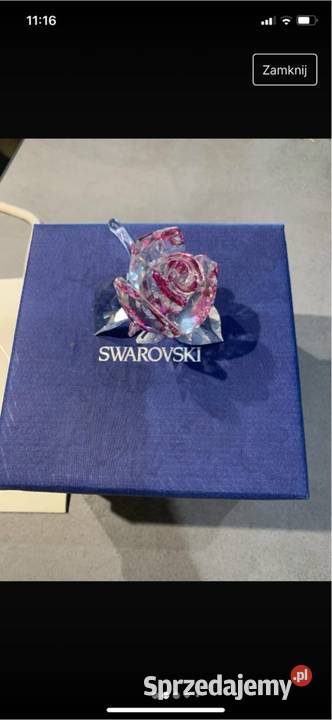 Róża kryształ Swarovski okazja małopolskie Kraków