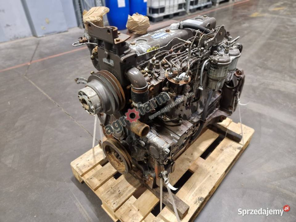 Silnik Massey Ferguson 3080 Perkins A6354 Byków sprzedam
