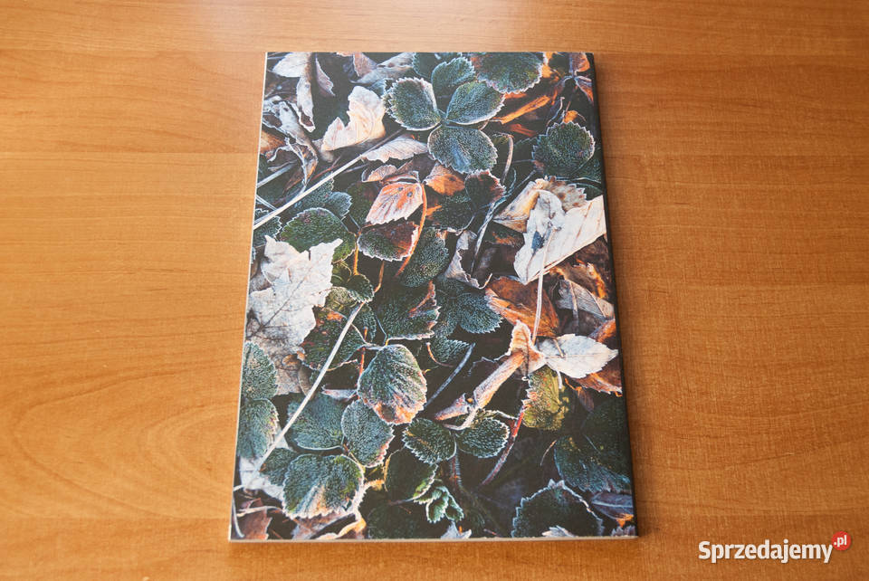 JACK WOLFSKIN różne katalogi z lat 2014 i 2015 miękka Stara Wieś