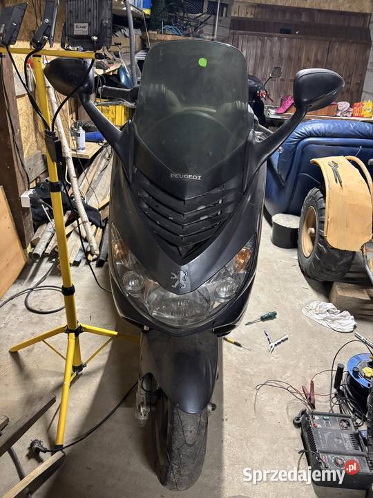 Peugeot Elystar 125 Peugeot Motocykle, skutery, quady Dzikowiec
