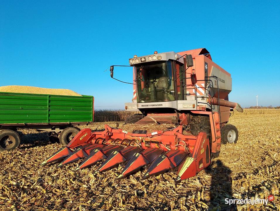 Massey Ferguson 7272 Oborniki