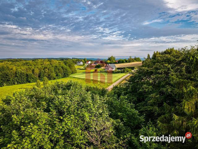 Działka do sprzedania Chmielnik 3065m 3065m2