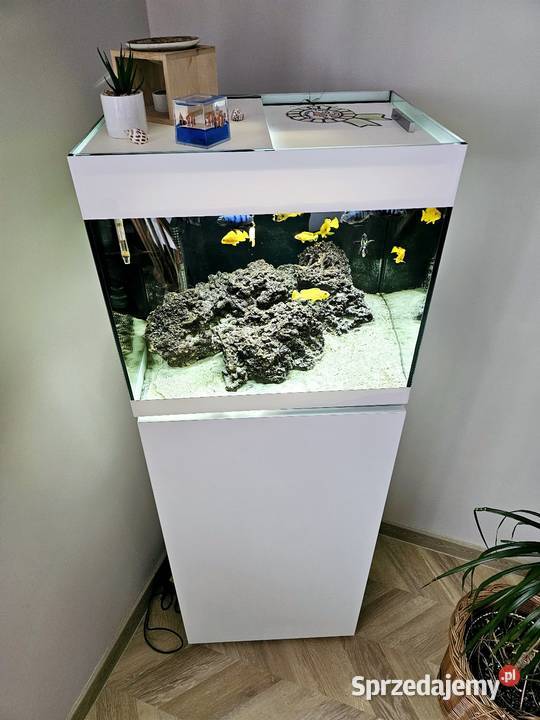 Akwarium Malawi Oase Styleline 85