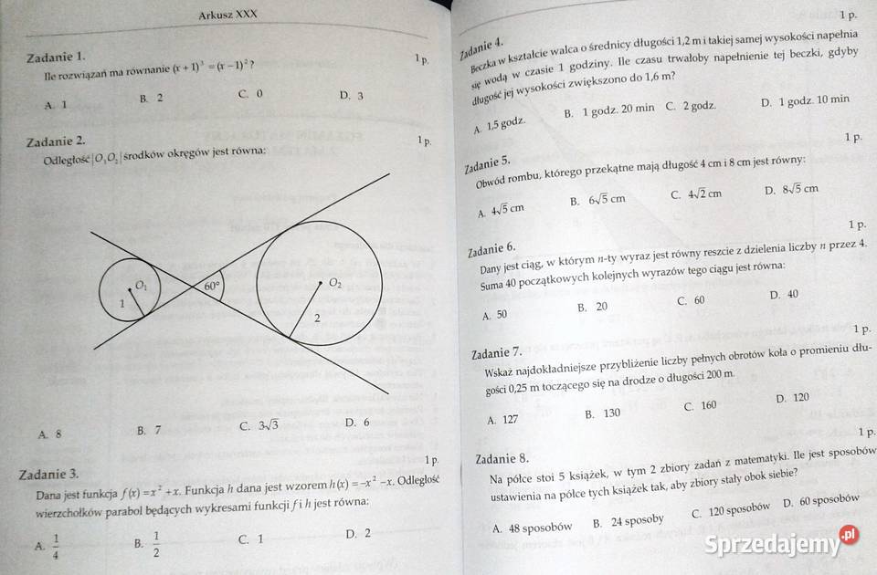 Matematyka 2010 Arkusze egzaminacyjne K Kasprzyk Chełm