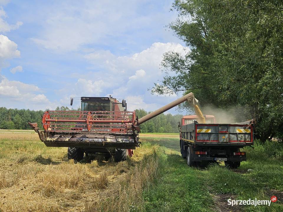 Massey Ferguson 29 6cyl Perkins Osieck sprzedam