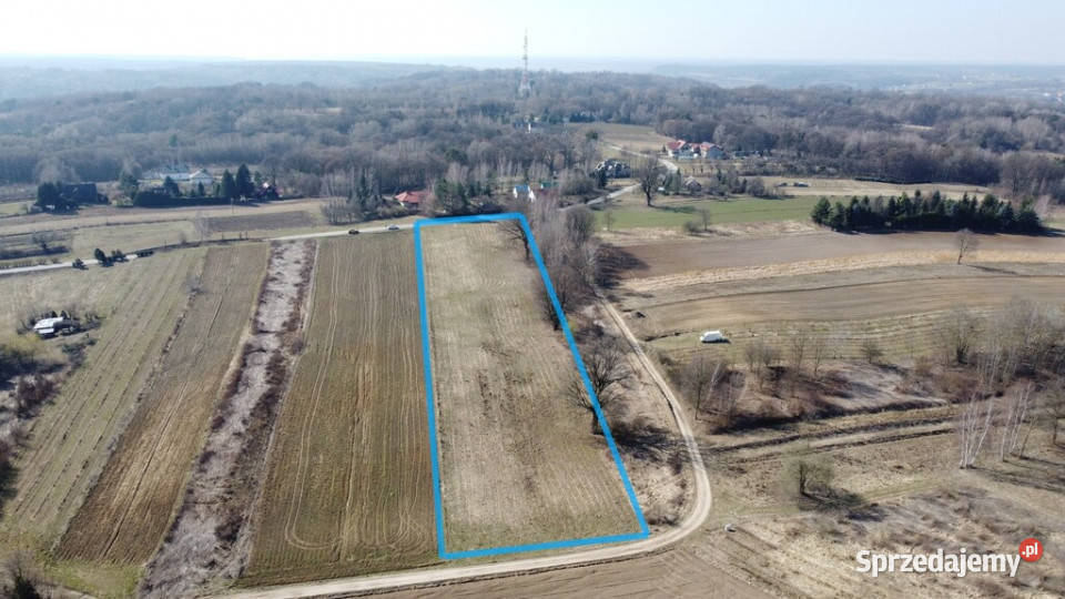 Działka wielofunkcyjna 087 ha w Kazimierzu Kazimierz Dolny