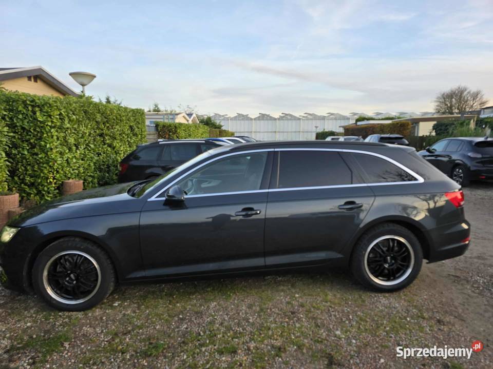 Audi A4 B9 Zadbane Rok produkcji 2019 Błażowa