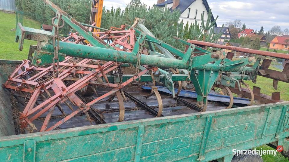 Rozrzutnik małopolskie Rabka-Zdrój