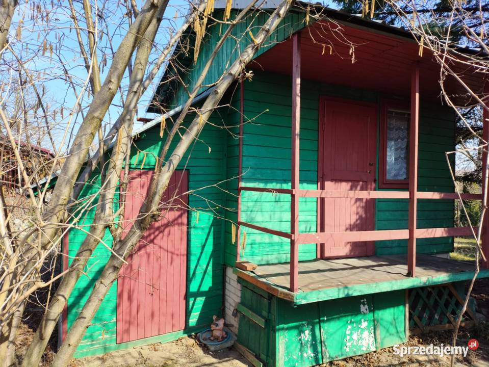 Działka ROD 965 Stalowa Wola Hutnik II Sprzedaż sprzedam
