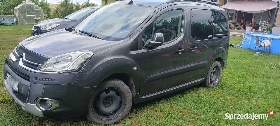 Sprzedam Citroen Berlingo Multispace bluetooth wielkopolskie Złotów sprzedam