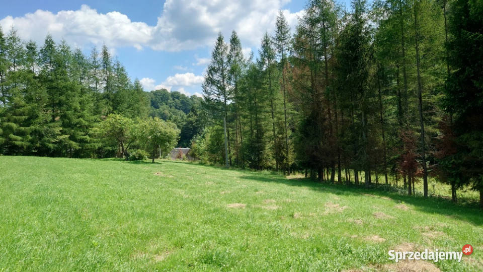 Działka BUDOWLANA 30 ary Bieszczady Bóbrka k Solina sprzedam