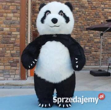 KOSTIUM XXL MISIA PANDY 26 METRA GIGANT DMUCHANY Katowice