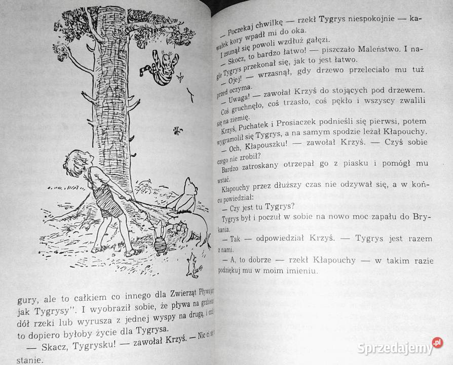 Chatka Puchatka Alan Alexander Milne Chełm