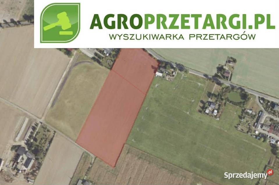 Dzierżawa 258 ha gruntu rolnego Września