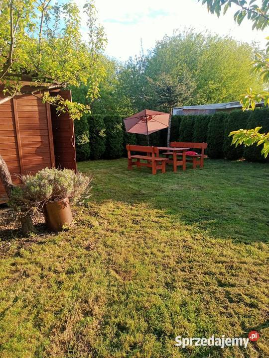 Ogródek działkowy działka rod Miłosław