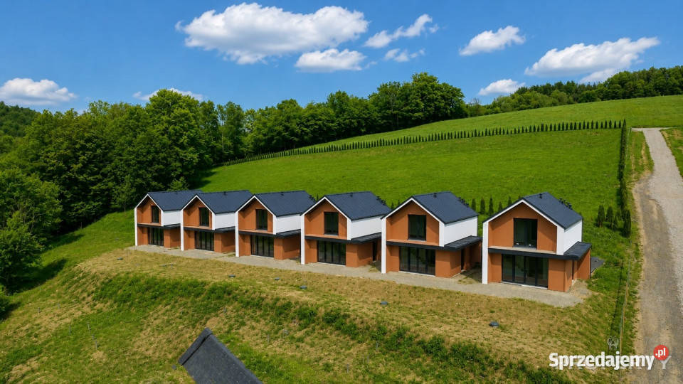 Dom wolnostojący 614m2 Znamirowice pustak