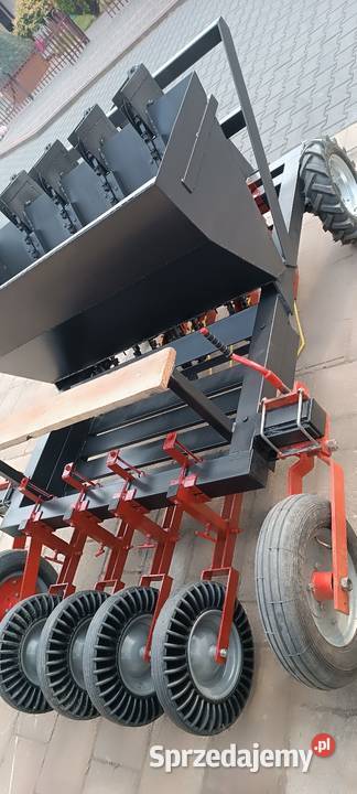 Sadzarka dymka cebula czosnek bób warzywa nieuszkodzony Kutno