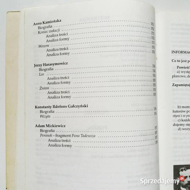 DStopka ESiemek 5 klasa Streszczenia i analiza