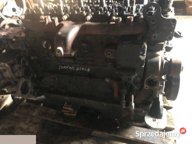 Cummins Qsb 67 Wałek Rozrządu Jastrzębniki