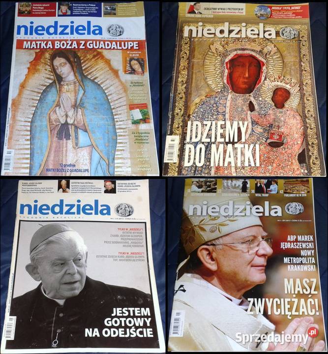 Podana jeden egzemplarz Chełm