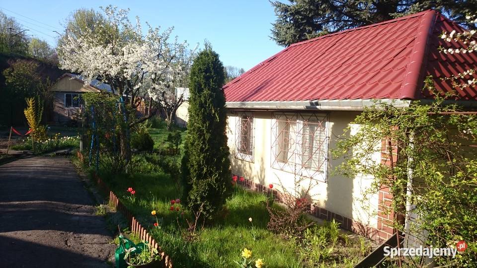 Działka rekreacyjna ROD Kraków Dąbie