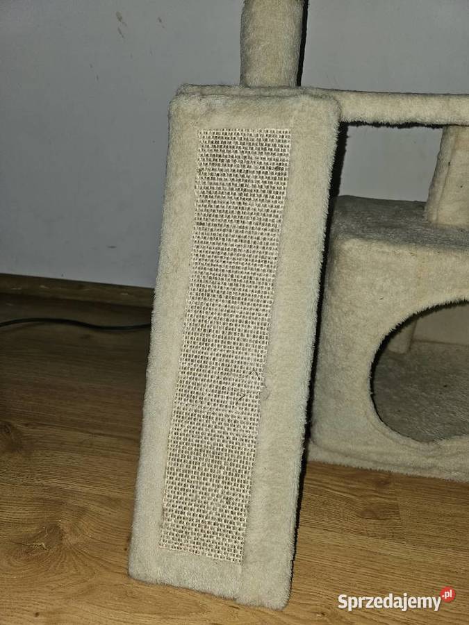 Drapaklegowisko kota