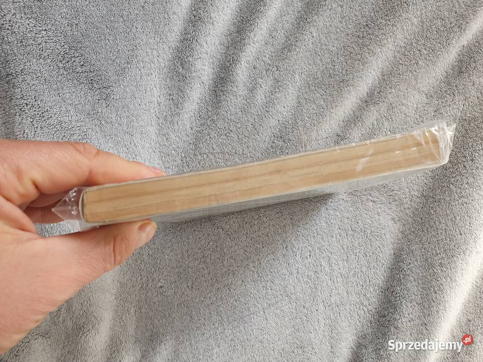 Record of Lodoss Wars The Lady of Pharis Ryo