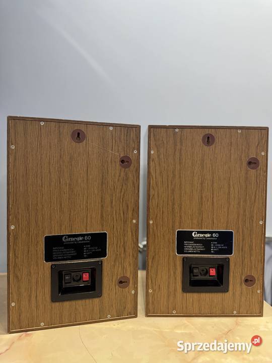 Kolumny głośnikowe Carnegle 60