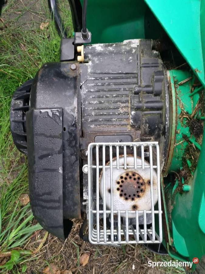 Części do silnika BriiggsStrattonGłowica silnika lubuskie Gorzów Wielkopolski sprzedam