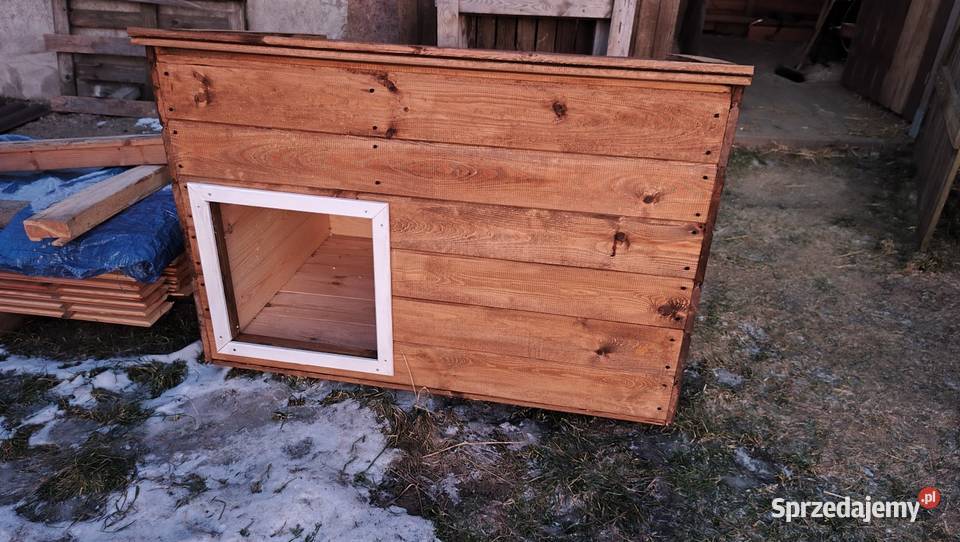 Buda ocieplana Dla psów Chawłodno