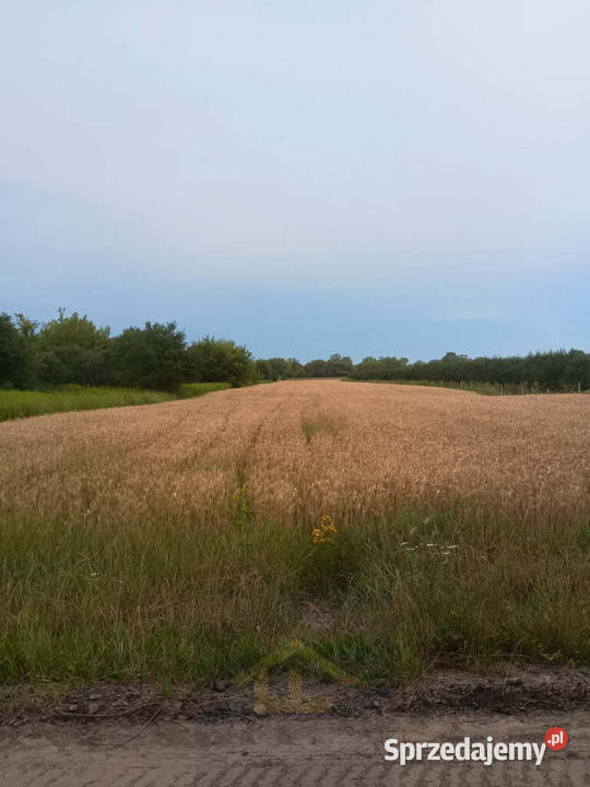 Działka w Nadbrzeżu Sprzedaż mazowieckie