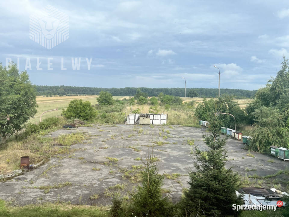 Lokal Przesiadłów 1000m2 Lokale użytkowe sprzedam