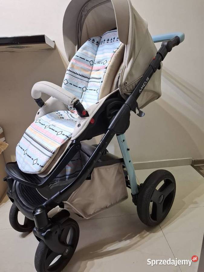 Zadbany Amelis Hugo Kraków