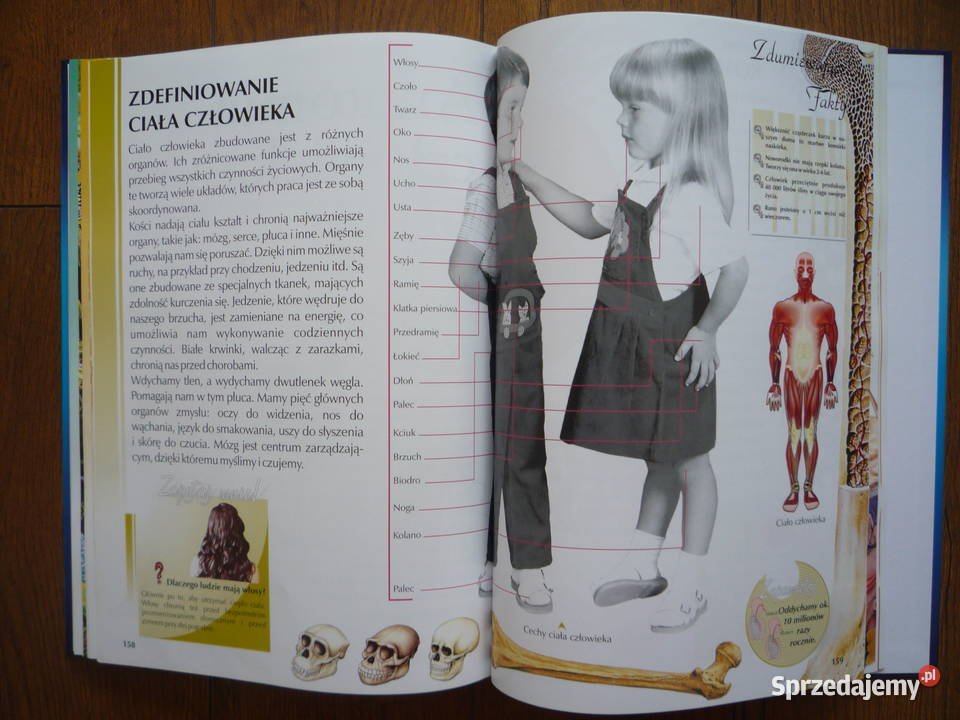 Encyklopedia dzieci Teraz już wiem twarda zachodniopomorskie sprzedam