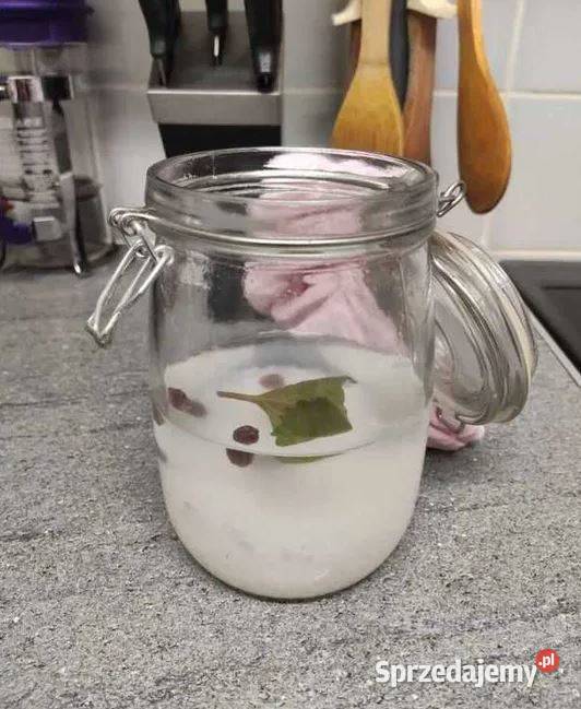 Kryształki japońskie na kefir wodny Naturalny Wrocław