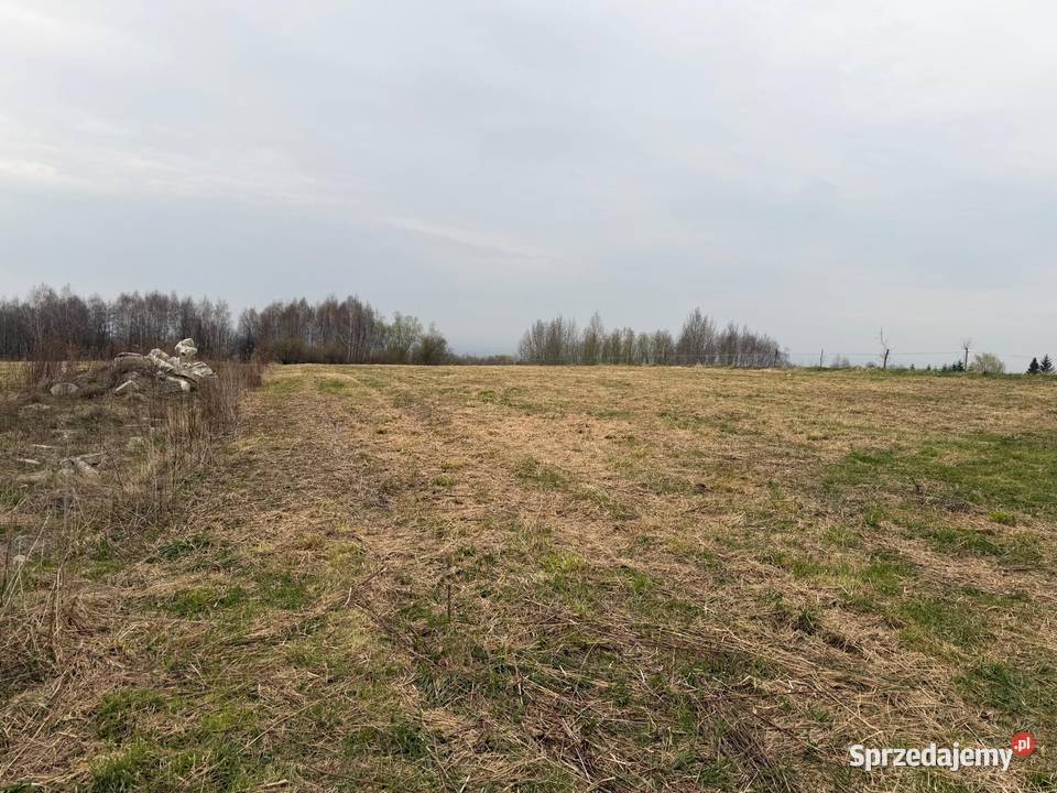 Na sprzedaż działka rolna 31 ar Malawa podkarpackie