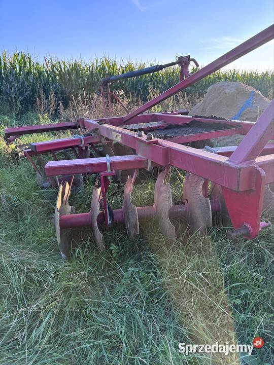 Talerzówka Włocławek