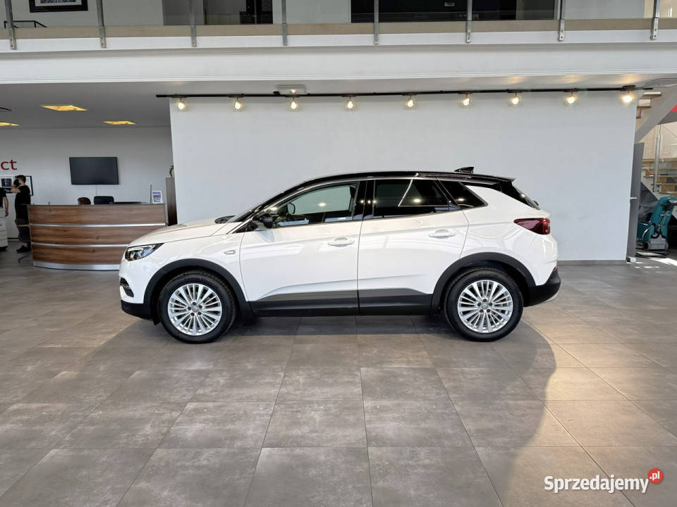 Opel Grandland X 12Turbo 130 M6 20172018 r bluetooth Myślenice