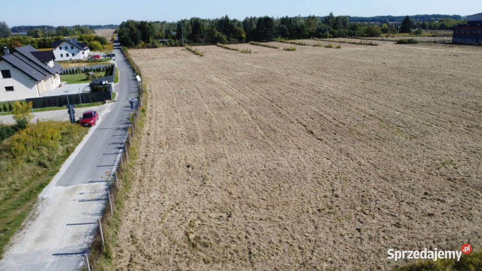 Działka budowlana w Lubinie Tulipanowa 824 m
