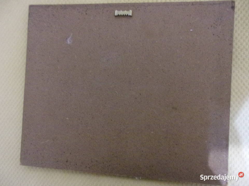 Śpiewający Wokalista dość wyjątkowy obrazek na Warszawa