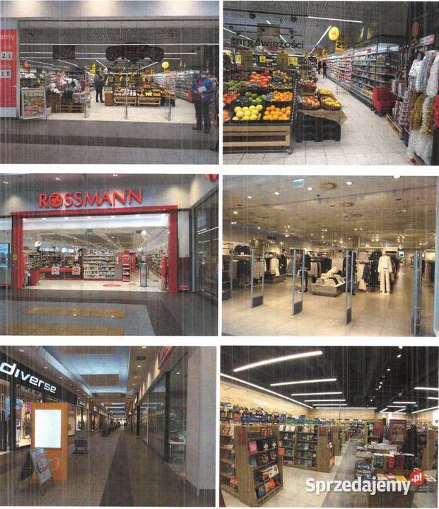 Sprzedaż przedsiębiorstwa F Group Sp z oo SKA mazowieckie Nowy Dwór Mazowiecki