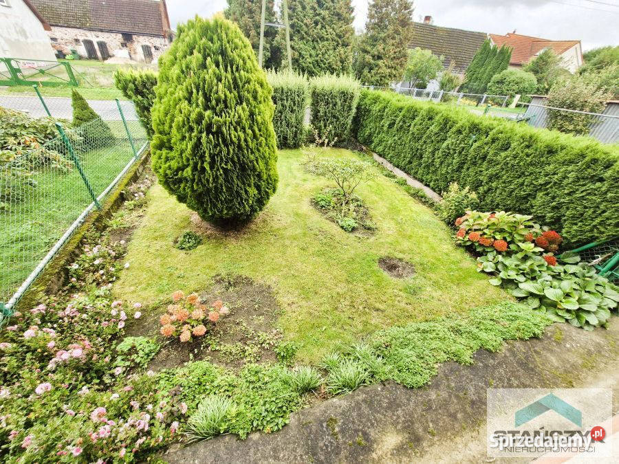 Sprzedaż mieszkania 50m2 2pok Golczewo Sprzedaż