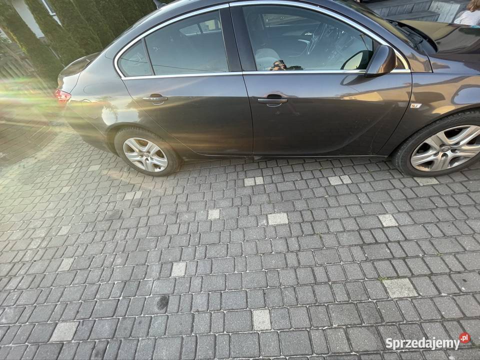 Opel Insignia Sokołów Małopolski
