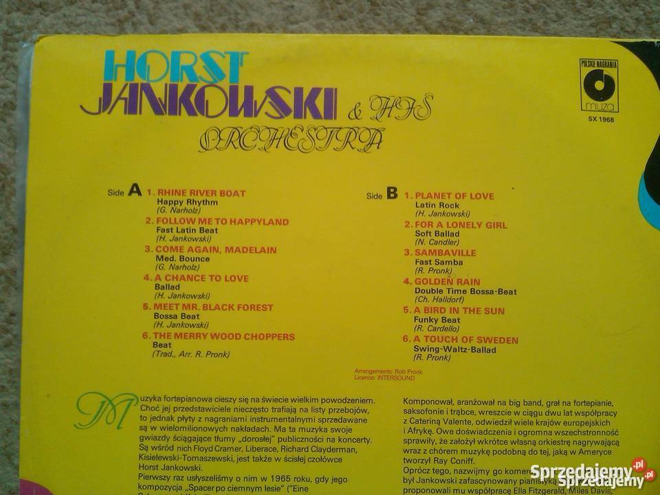 Płyty winylowe z muzyką rozrywkową lat pop Wronki