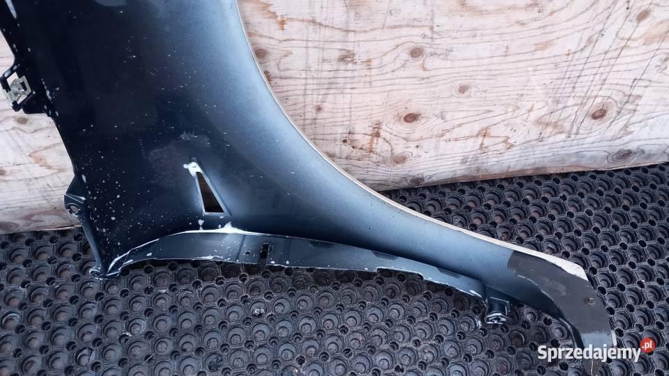 RENAULT SCENIC II BŁOTNIK PRZÓD LEWY TED11 Błotniki