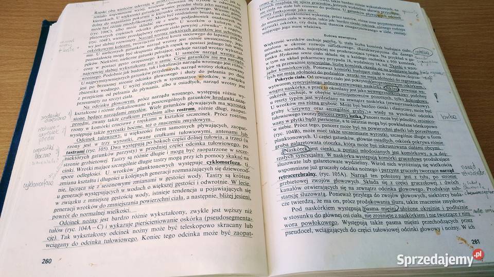 Bezkręgowce podstawy morfologii funkcjonalnej ISBN 8301120436 Gdańsk sprzedam