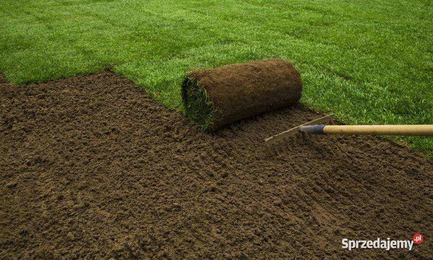 ziemia ogrodowa siana Ziemia Siedlce